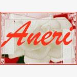 Aneri