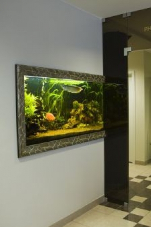 6_p19vup5eustviofv1hrcp6j9msa